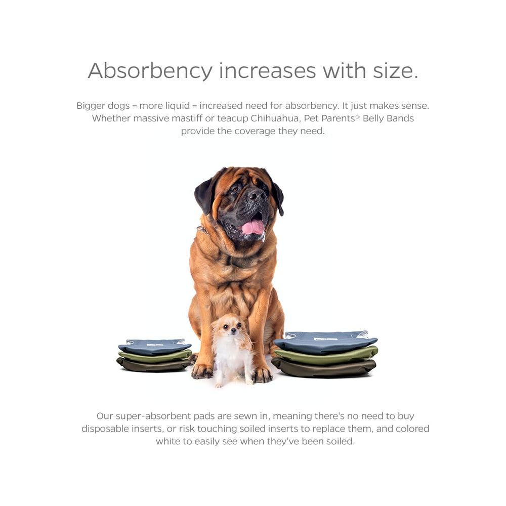 Pañales Pet Parents con interior absorbente WickQuick para mayor sequedad