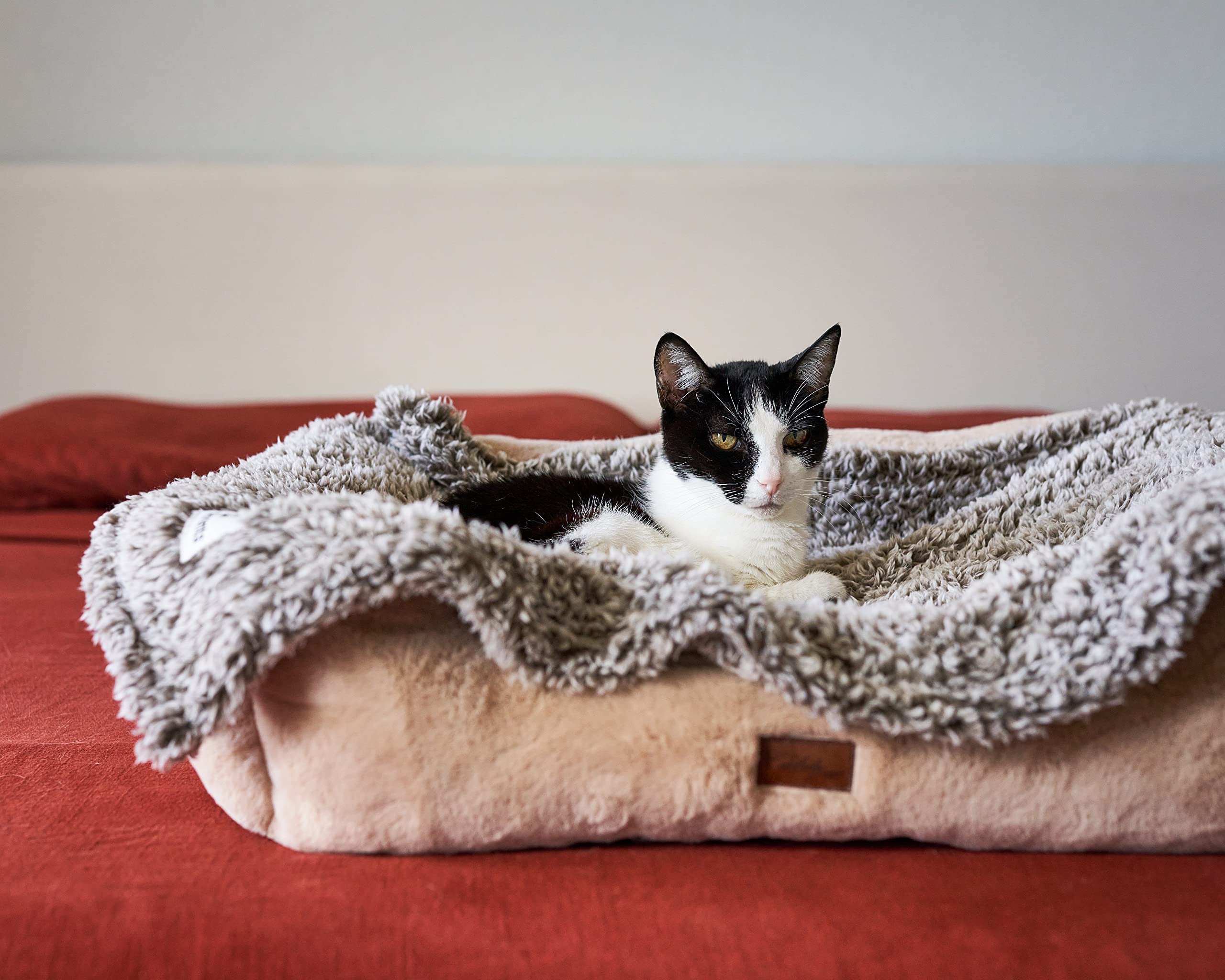 Pet Parents manta para-regalo perfecto para amantes de mascotas