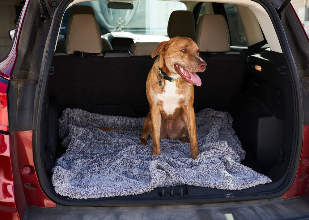Pet Parents manta tamaño-24x32 adecuada para perros y gatos