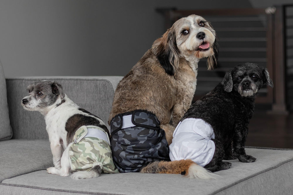 Pet Parents Pañales duraderos y lavables para uso repetido.