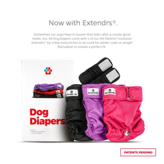 Pañales Pet Parents de materiales suaves reducen rozaduras al caminar.