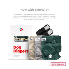 Pañales lavables Pet Parents, 3-pack: opción práctica para rotación y lavado.