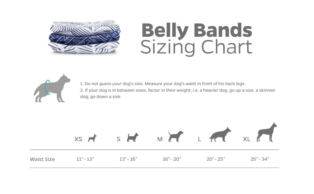 Pañales lavables para perro macho Pet Parents, absorbentes y reutilizables