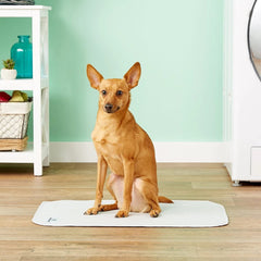 Pet Parents Pawtect Pad colores neutros gris y beige para integración discreta.