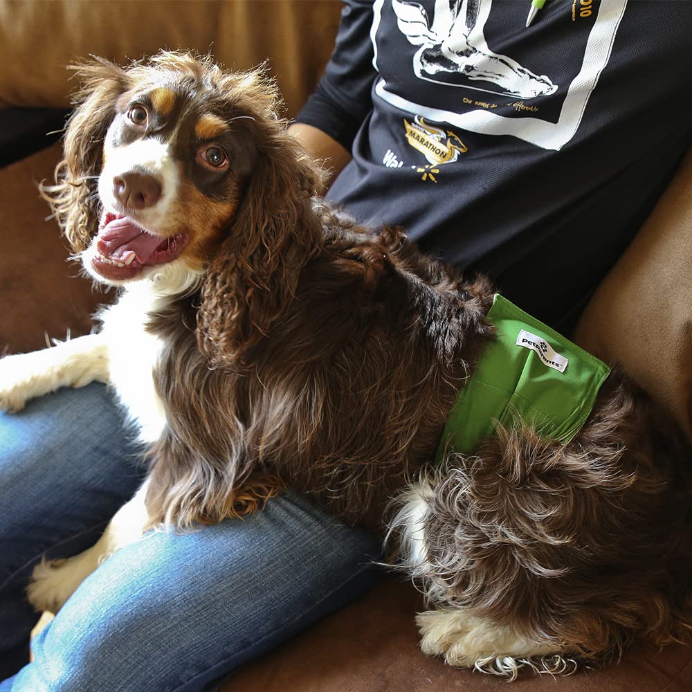 Pet Parents Uso diario práctico, limpieza fácil en casa