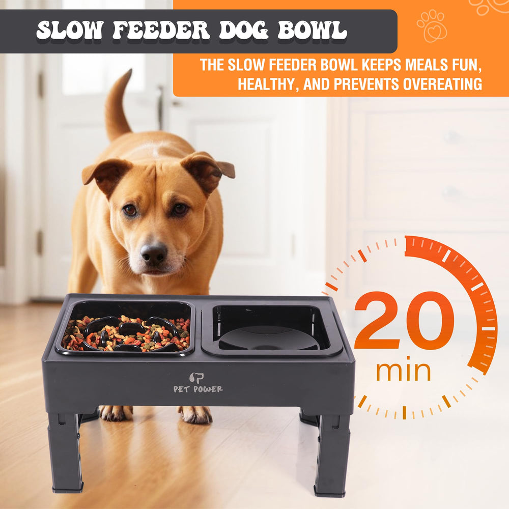 PET POWER: soporte elevado reduce tensión en cuello y articulaciones