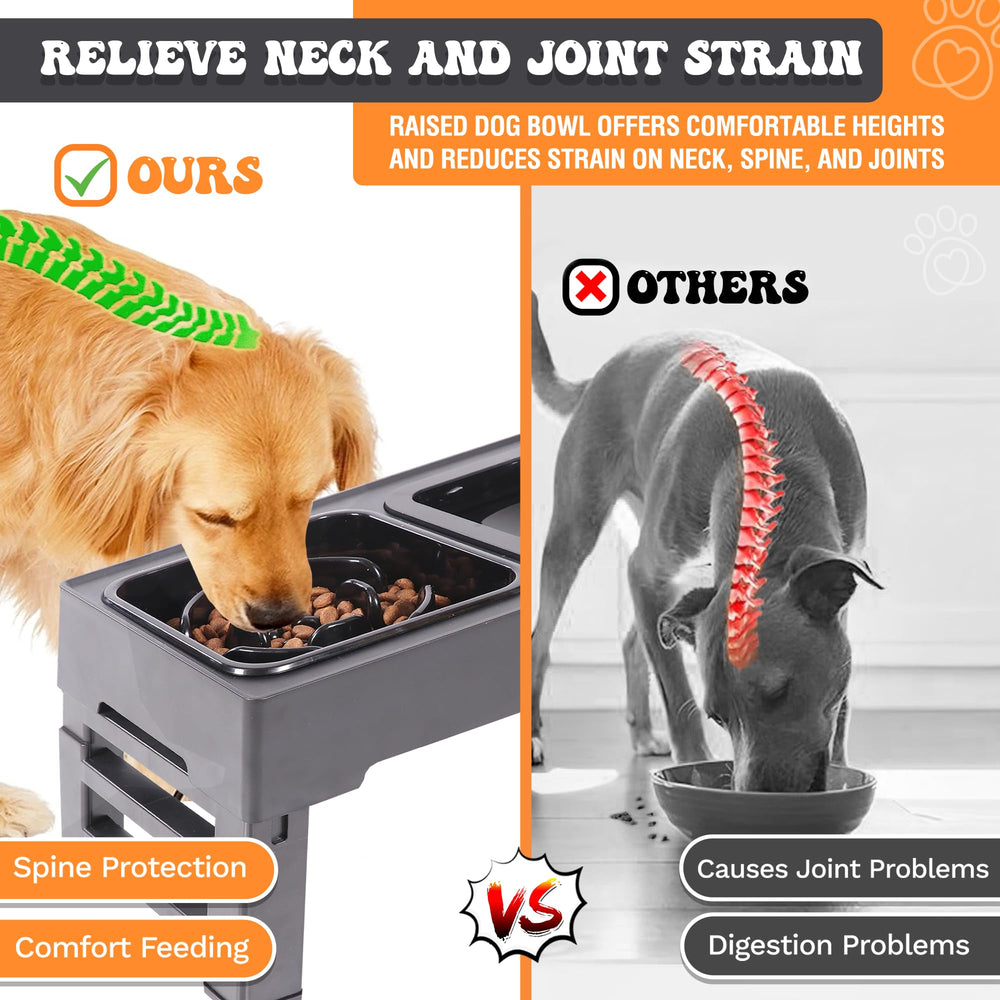 PET POWER: diseño ergonómico que favorece una alimentación confortable