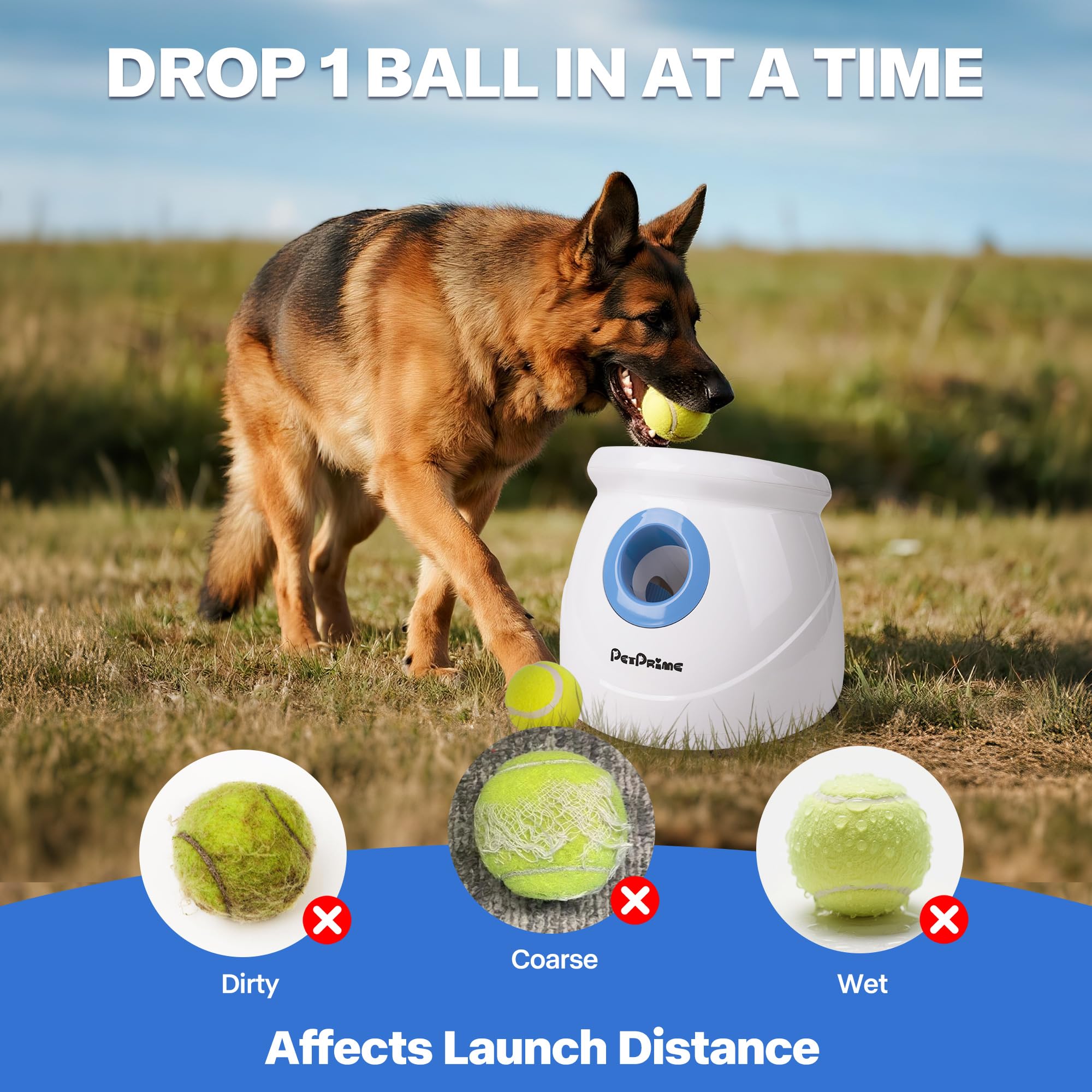 Pelotas de tenis Pet Prime de 2,5 pulgadas para juego duradero.