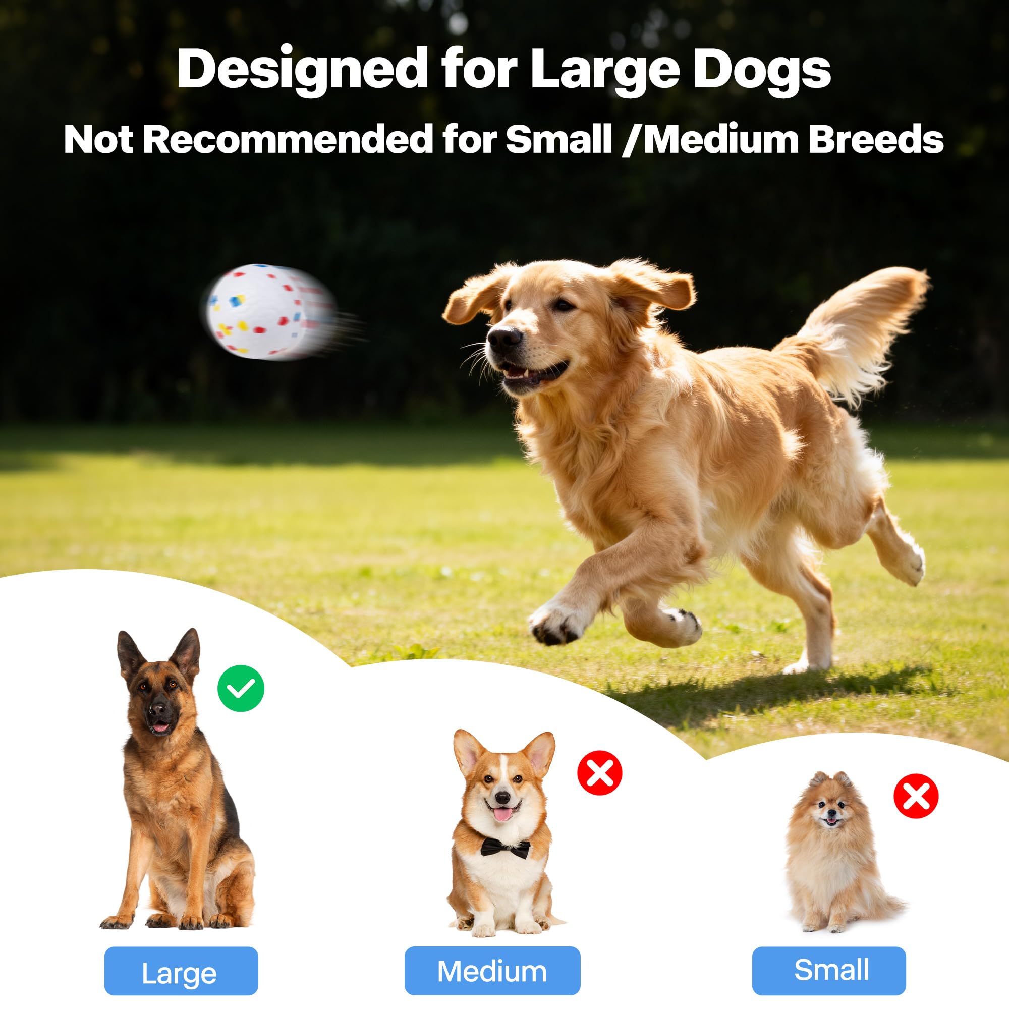 Juego exterior para perros grandes que favorece movimiento y agilidad