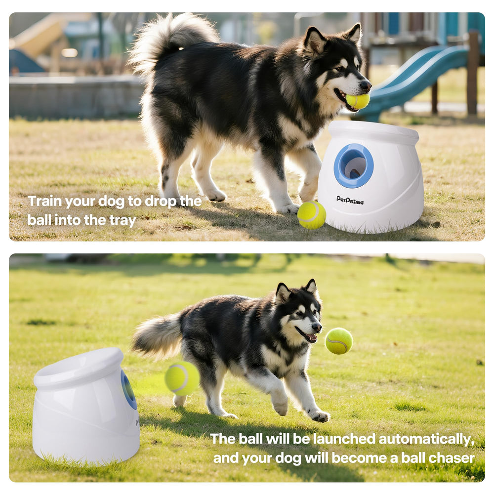 Manual claro de Pet Prime para montaje y uso sencillo.
