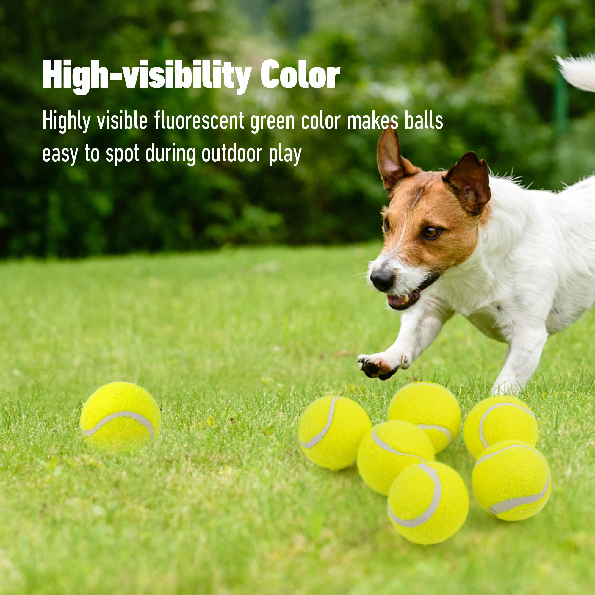 Pelotas tenis Pet Prime para lanzador automático y juego de búsqueda
