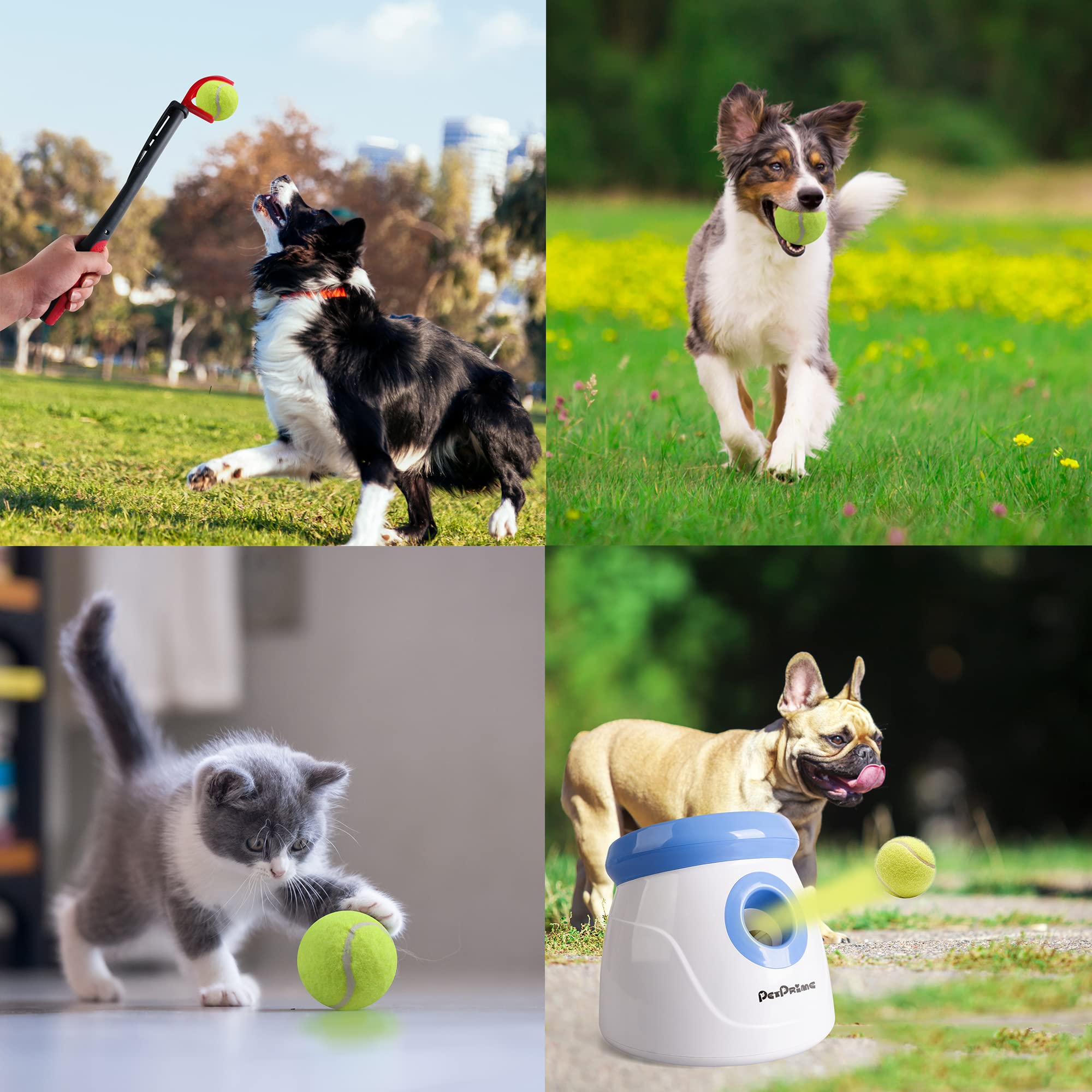 Pelotas tenis Pet Prime brillantes para exterior y entrenamiento