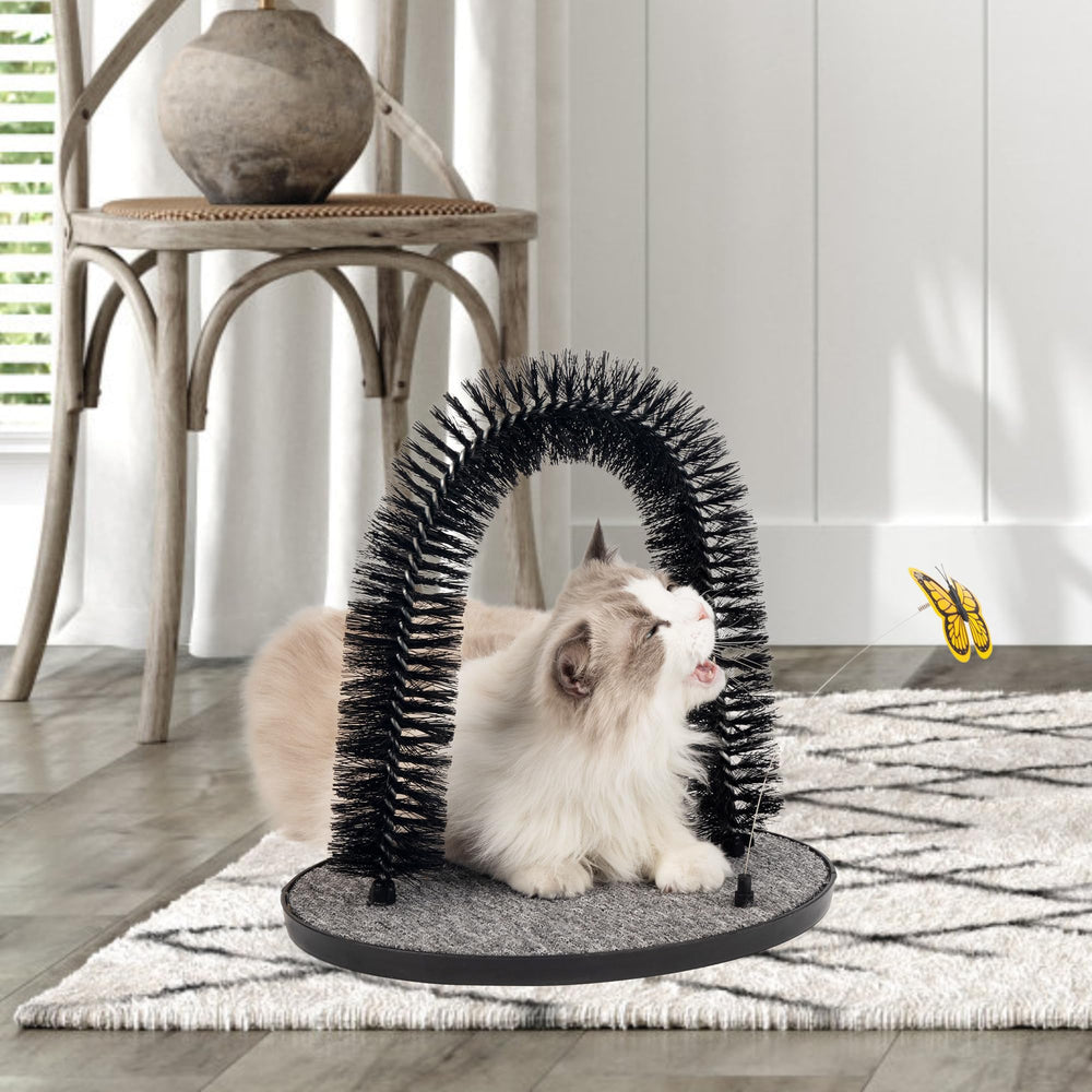 Uso diario con Pet Prime, apoyo al autocuidado felino en casa.