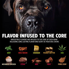 Pet Qwerks BarkBone: diseño que raspa placa y sarro para higiene dental.