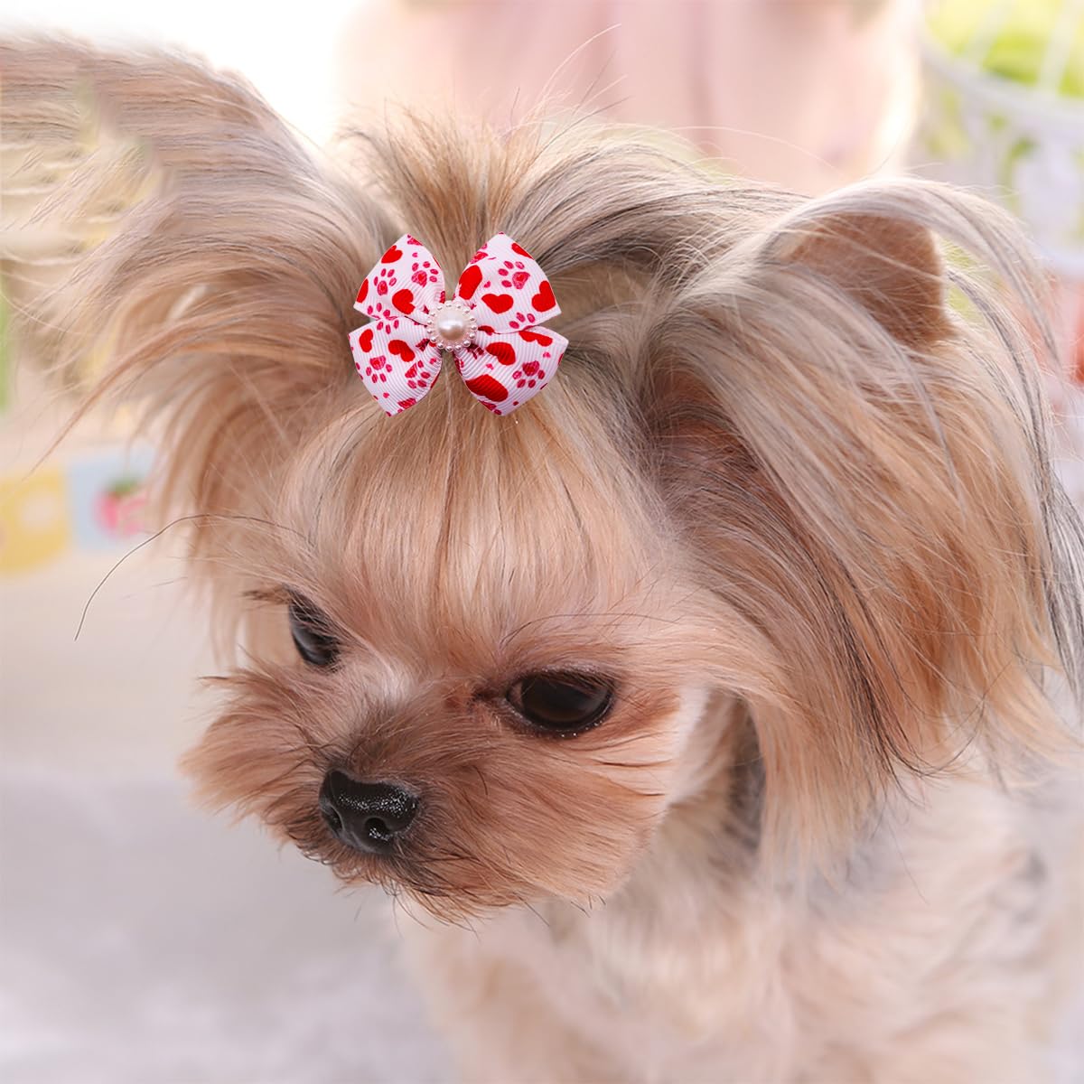 PET SHOW conjunto de 20 lazos para perro y gato, accesorios de pelo