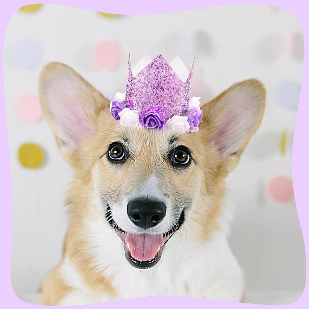 PET SHOW conjunto reutilizable, crea múltiples estilos en cada celebración