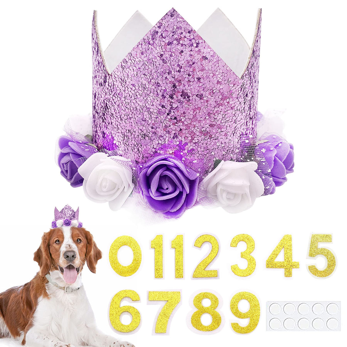 PET SHOW corona morada para perro, accesorio festivo reutilizable para fotos