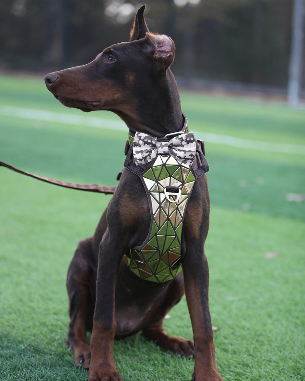 PET SHOW diez diseños camuflaje, variedad para combinar con atuendos.