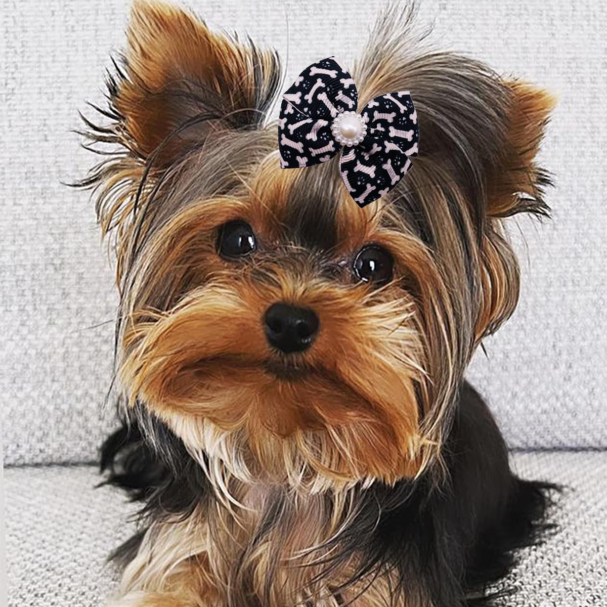 PET SHOW diseños variados, 10 pares de lazos para mascotas