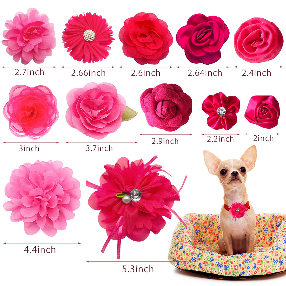 PET SHOW flor para collar rosa, fácil de colocar en perros y gatos.