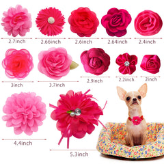 PET SHOW flor para collar rosa, fácil de colocar en perros y gatos.