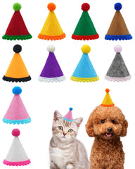 Gorras PET SHOW mini fiesta para perros, ideal para fotos festivas