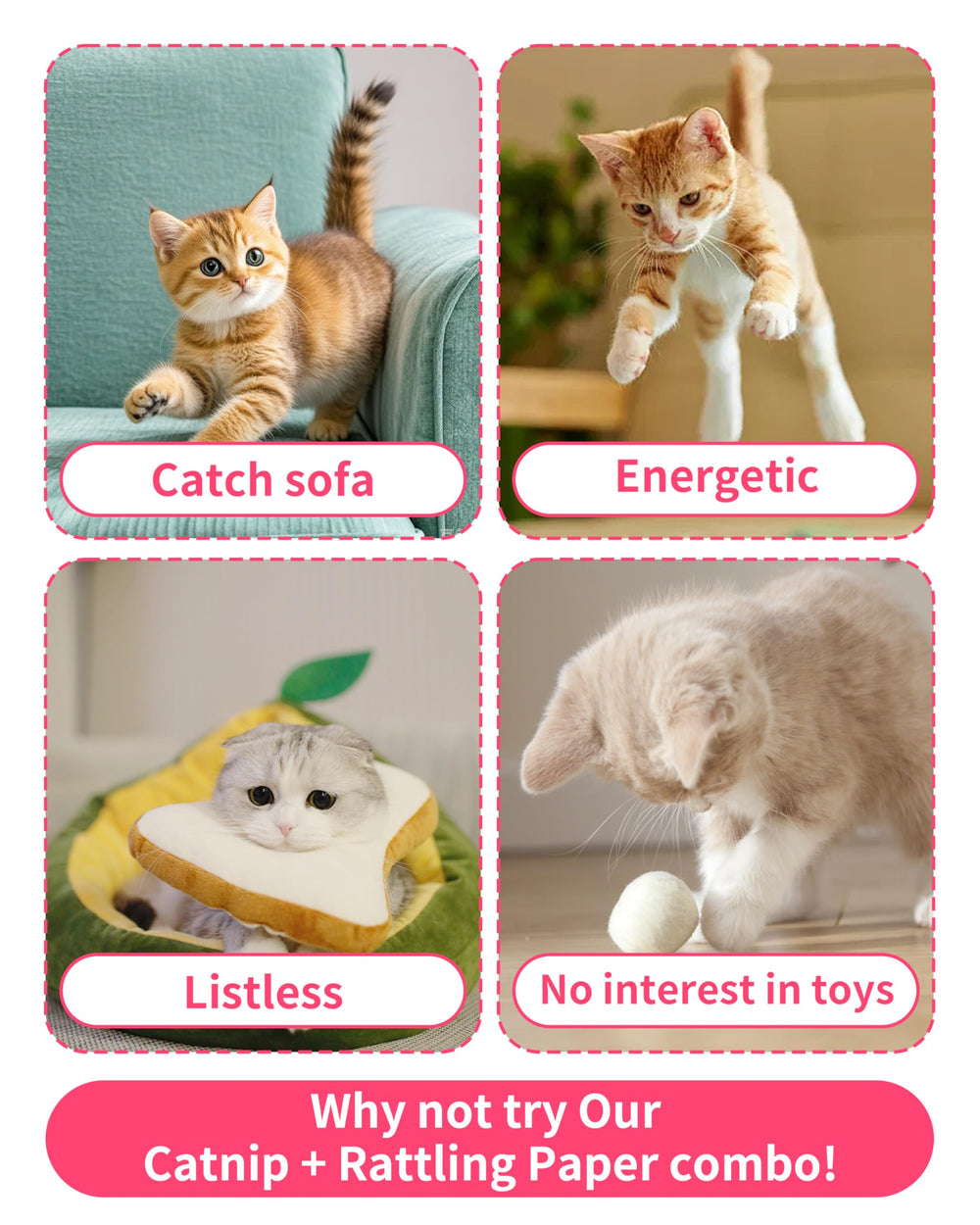PET SHOW juguete con hierba de gato orgánica para despertar interés.