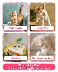 PET SHOW juguete con hierba de gato orgánica para despertar interés.