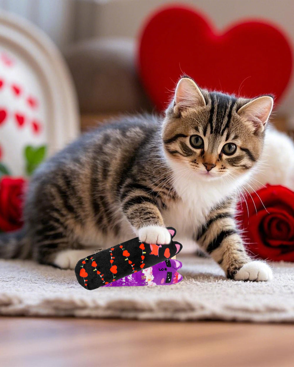 PET SHOW juguete multicolor para gatos con movimiento y sonido suave.