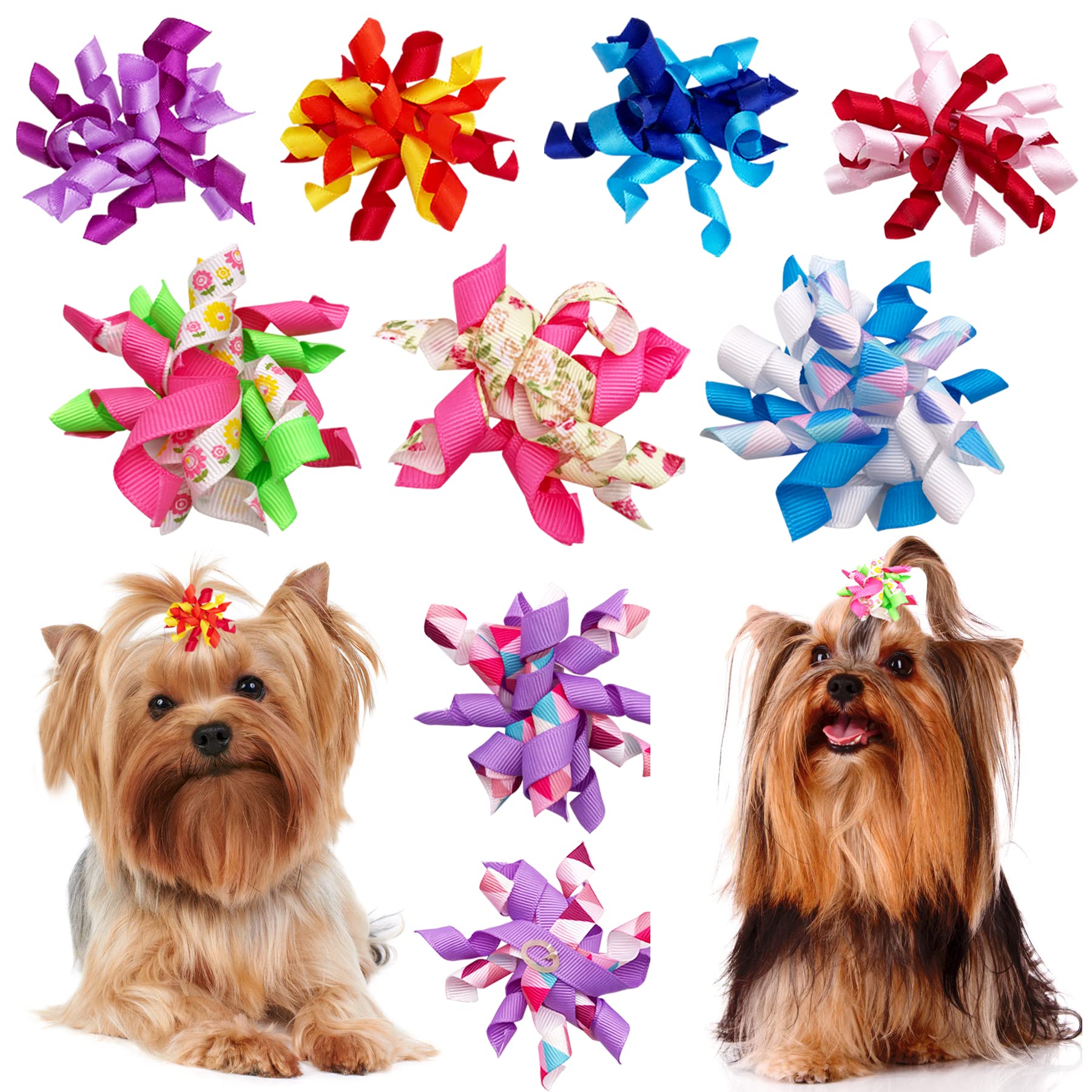 PET SHOW lazo decorativo para Yorkshire o Pomerania