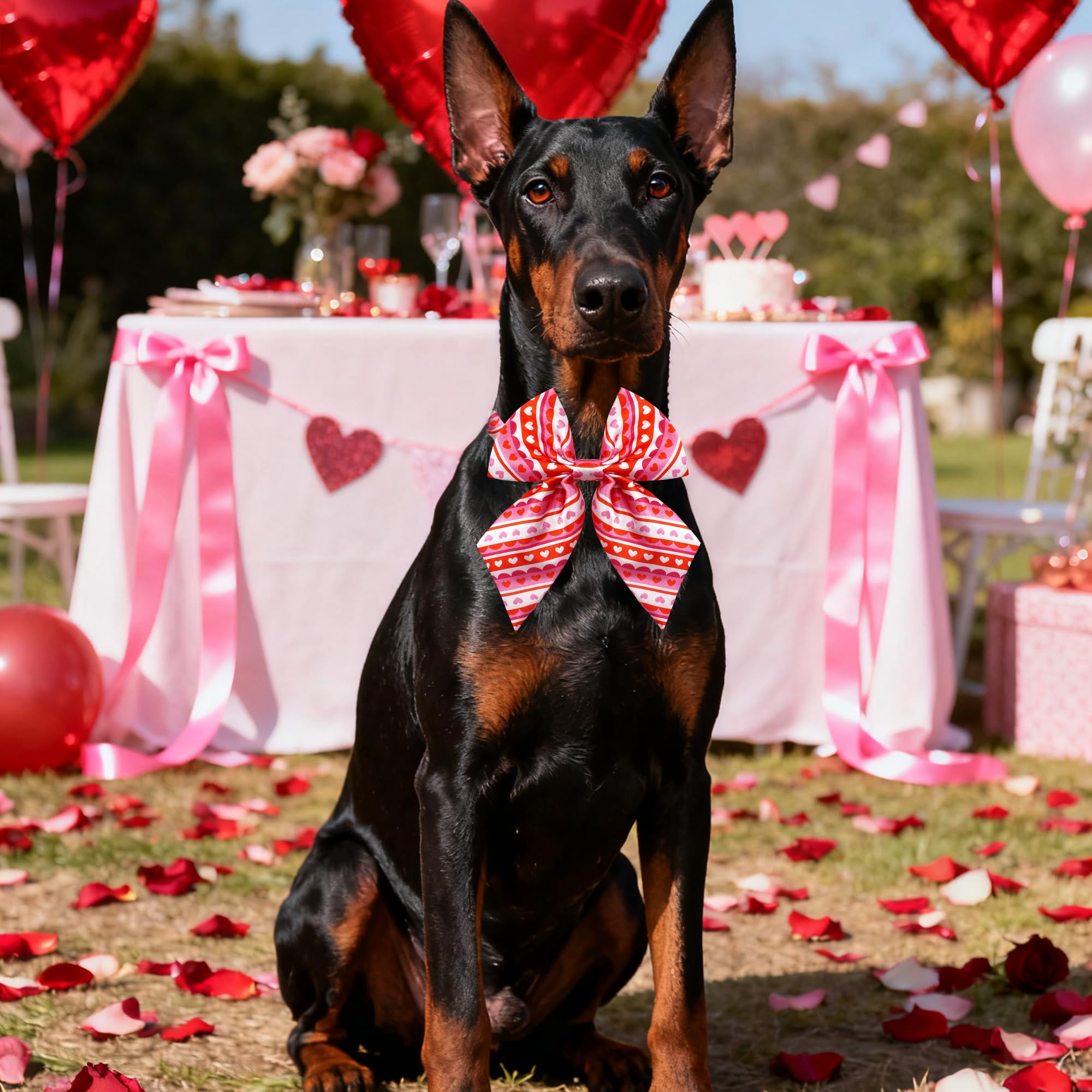 PET SHOW Lazo Valentine para perros, ideal para fotografias y momentos especiales.