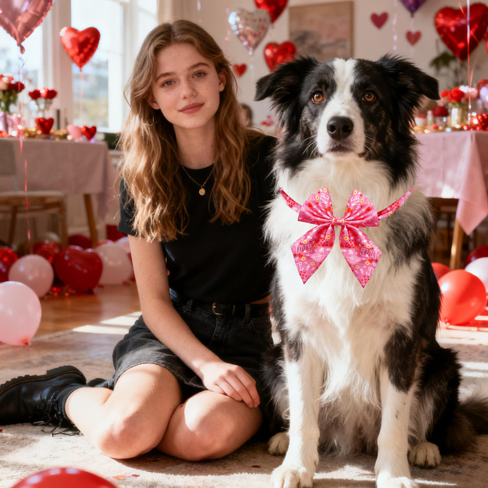 PET SHOW Lazo Valentine para perros, adecuado para usos en distintas ocasiones.