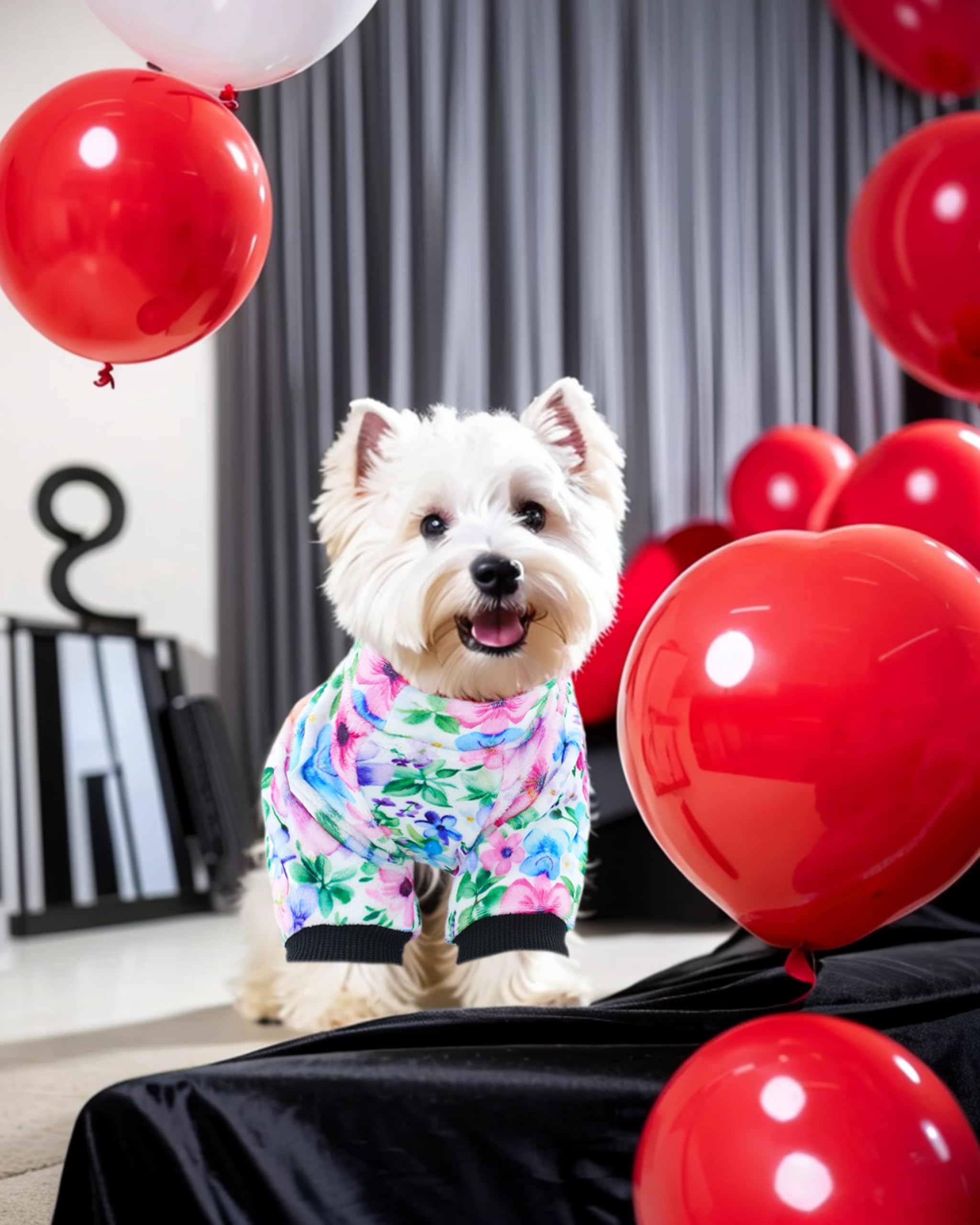 Pijama PET SHOW con cuello elástico, ajuste cómodo para cualquier talla.