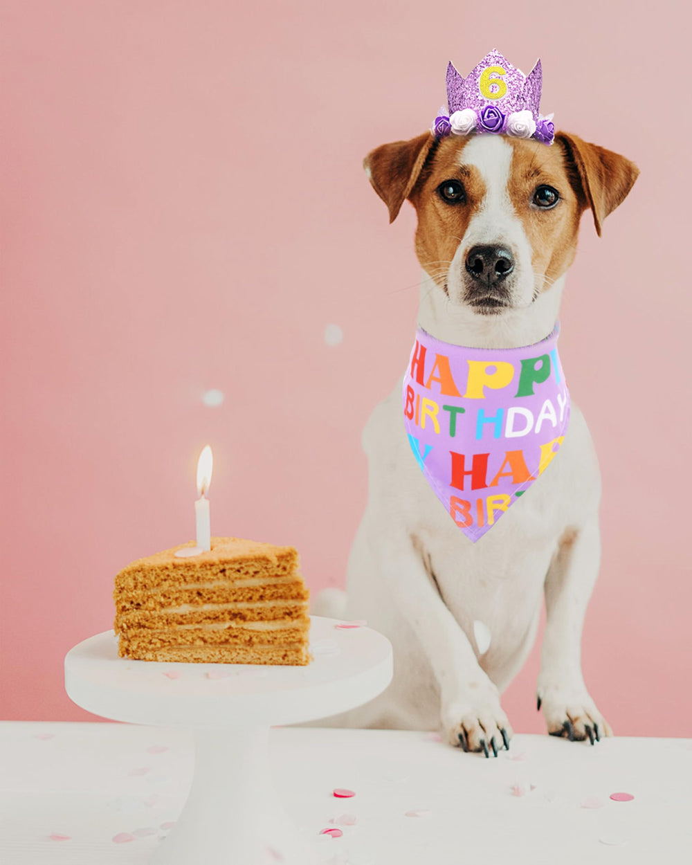PET SHOW conjunto de cumpleaños para mascota, regalo perfecto para fiestas.