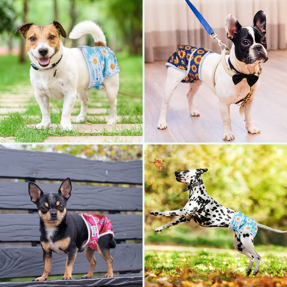 Pet Soft diseño floral, cierre de velcro seguro para ajuste rápido