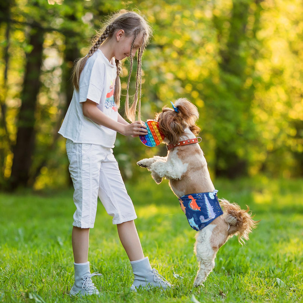 Pet Soft banda para perros machos ayuda a manejar pequeños accidentes.