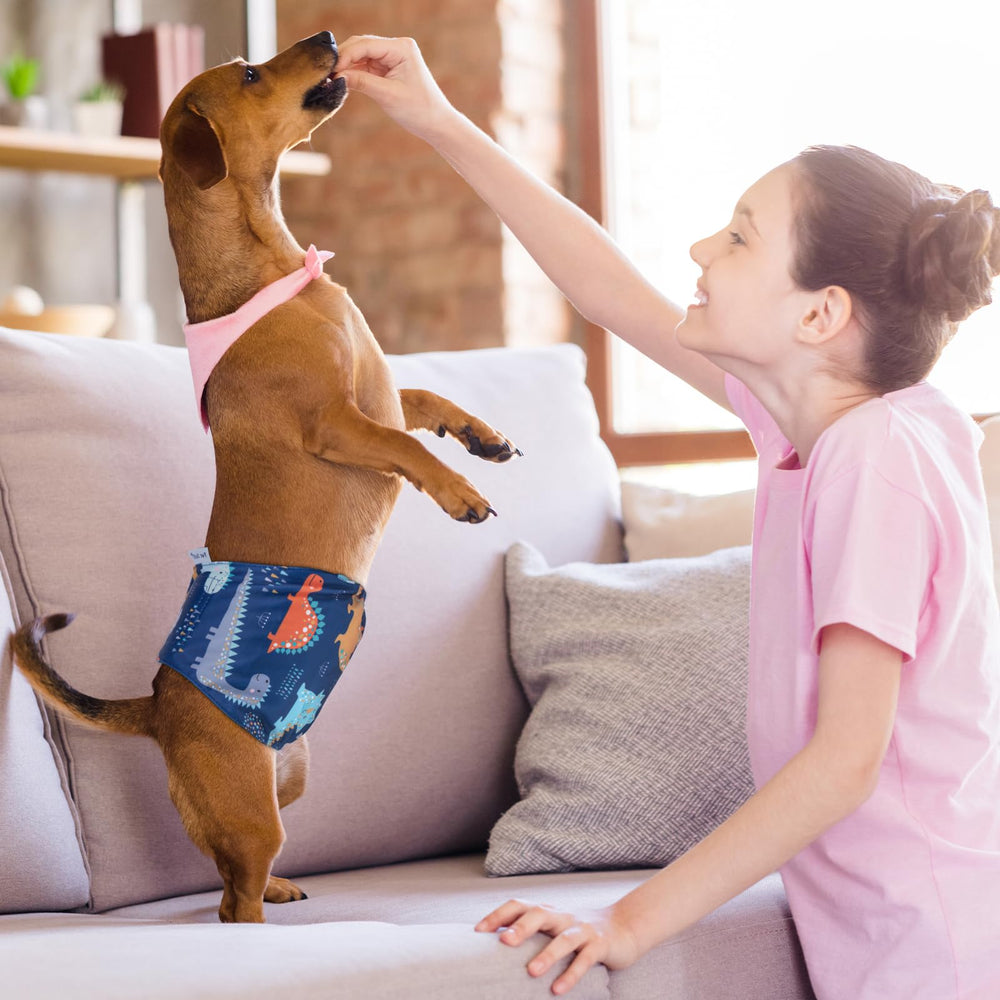 Pet Soft banda lavable y reutilizable para mascotas.