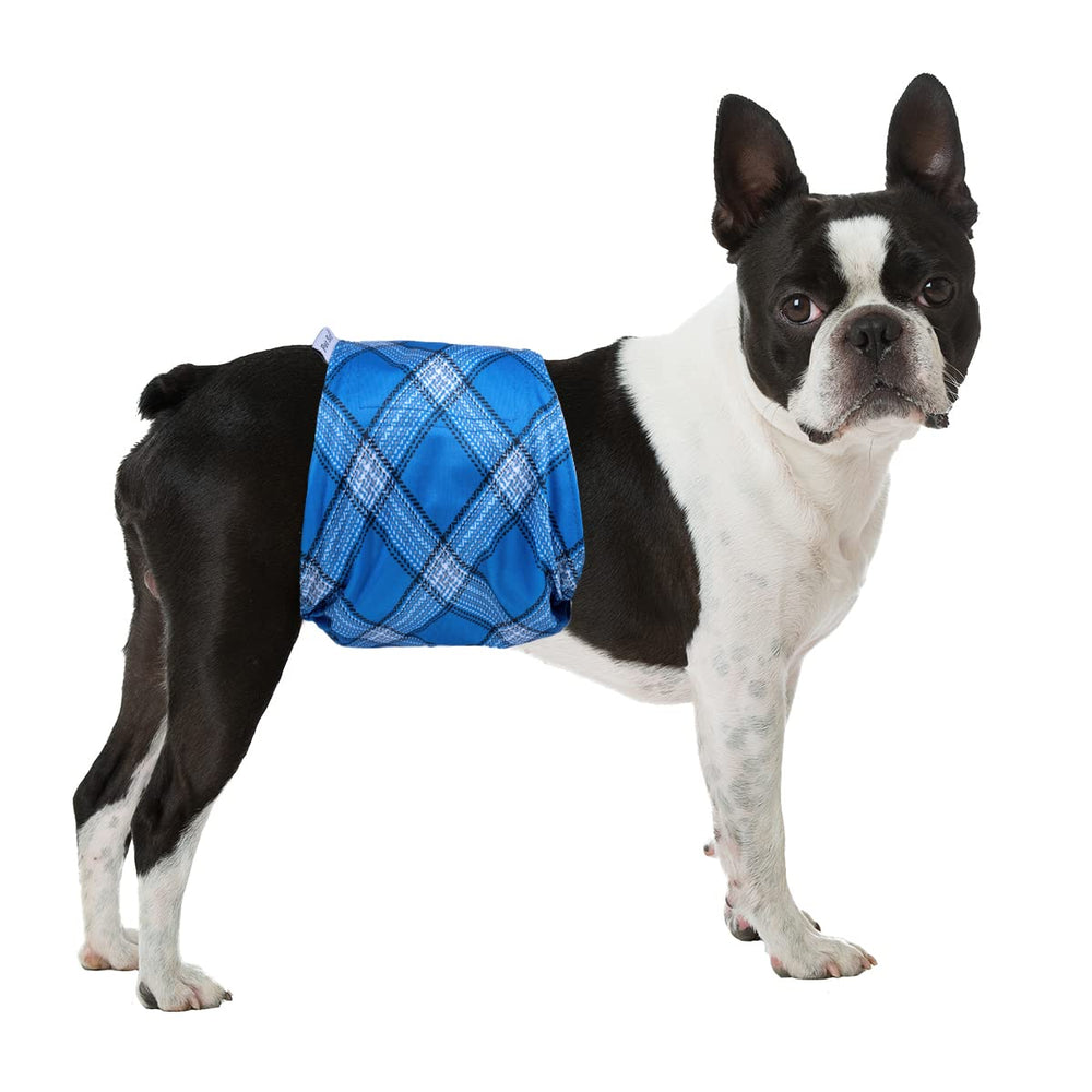 Banda Pet Soft para vientre, protege muebles y es fácil de usar.