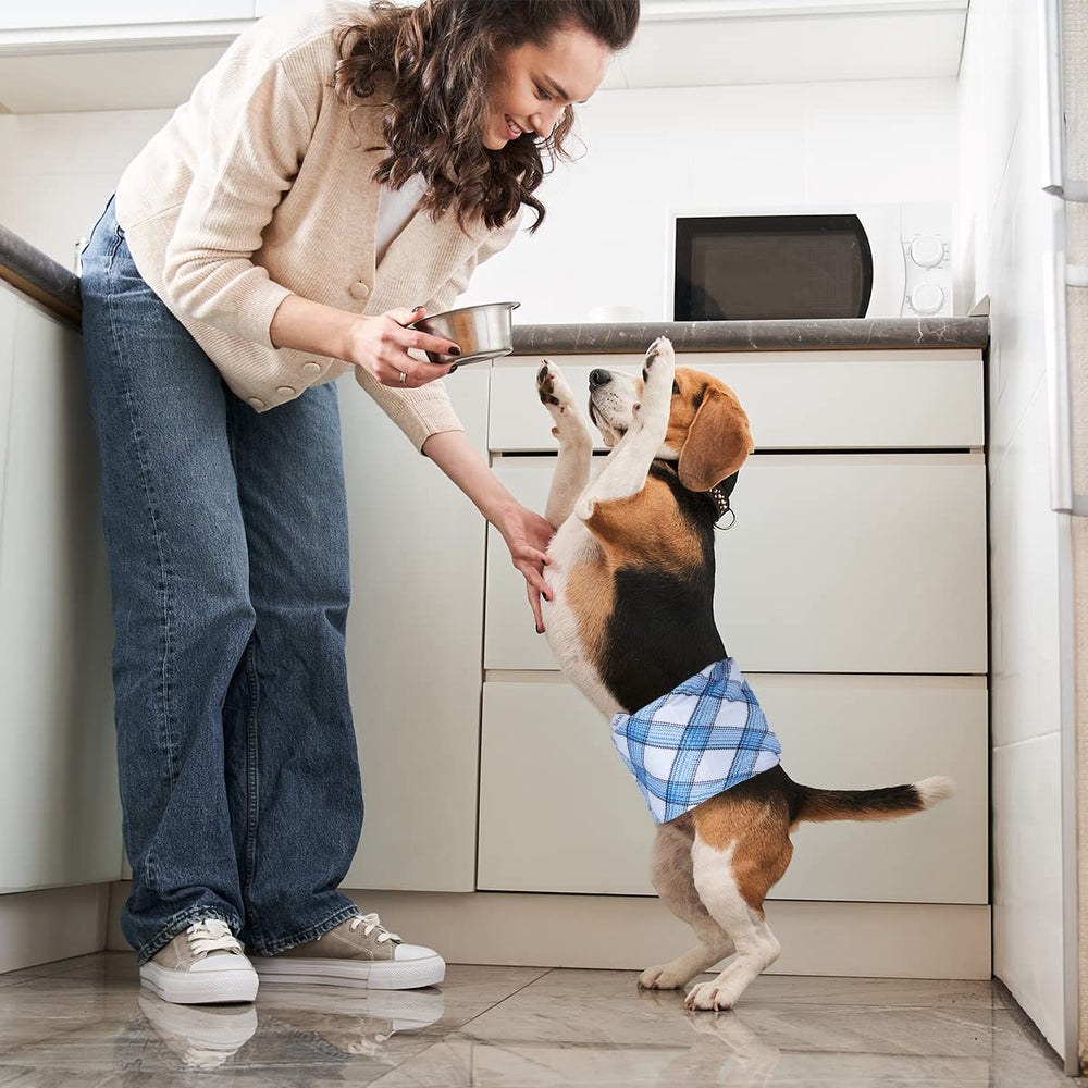 Bandas Pet Soft resistentes al lavado frecuente para uso diario.