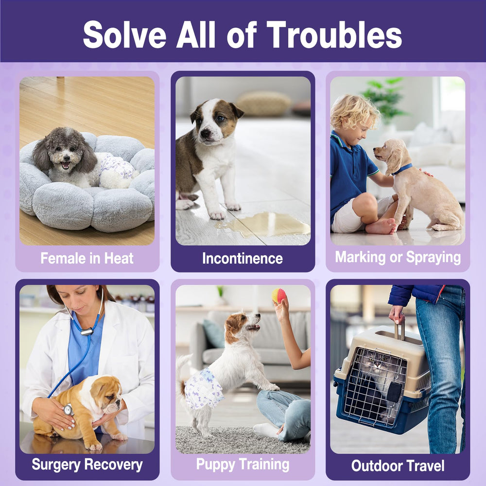 Pet Soft Núcleo ultra absorbente ofrece protección y comodidad.