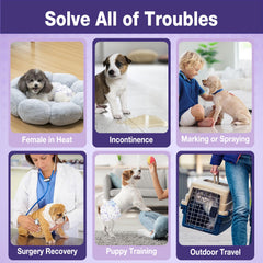 Pet Soft Núcleo ultra absorbente ofrece protección y comodidad.