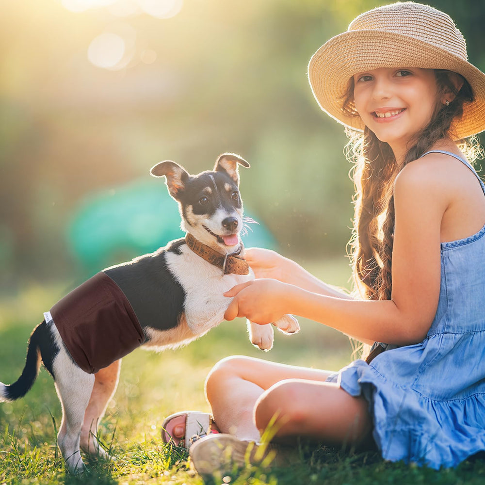 Pack de 5 unidades reutilizables Pet Soft, ideal para varias mascotas.