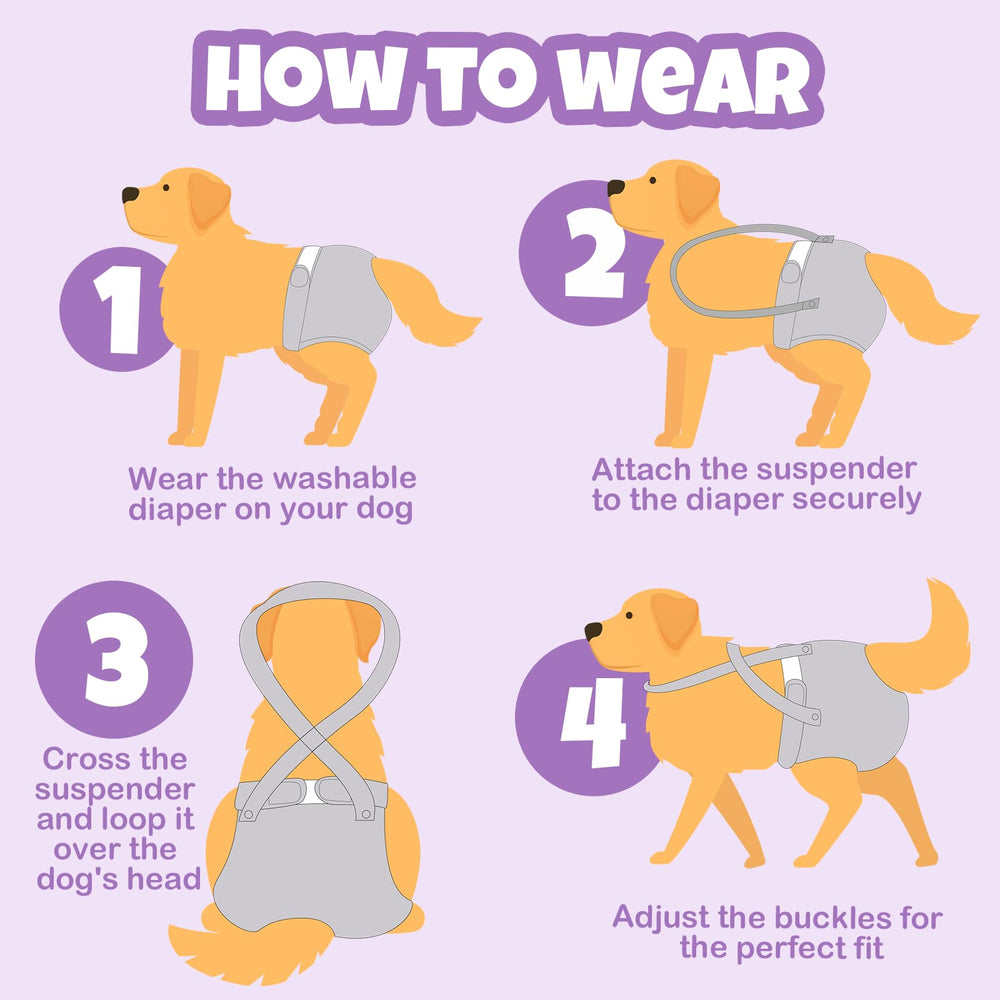 Pet Soft panales con suspensor para perros jugando, mayor seguridad