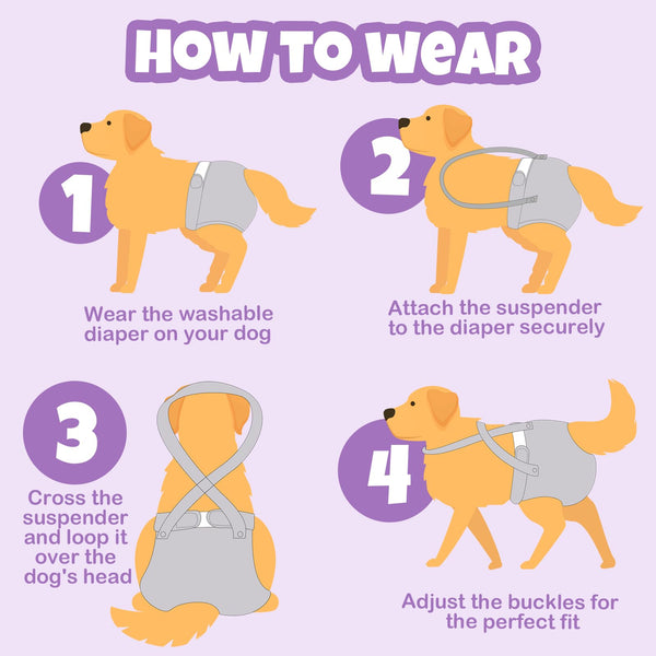 Pet Soft panales con suspensor para perros jugando, mayor seguridad