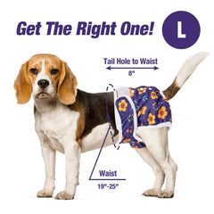 Nuevo diseño de cintura Pet Soft para mayor protección al estar acostada.