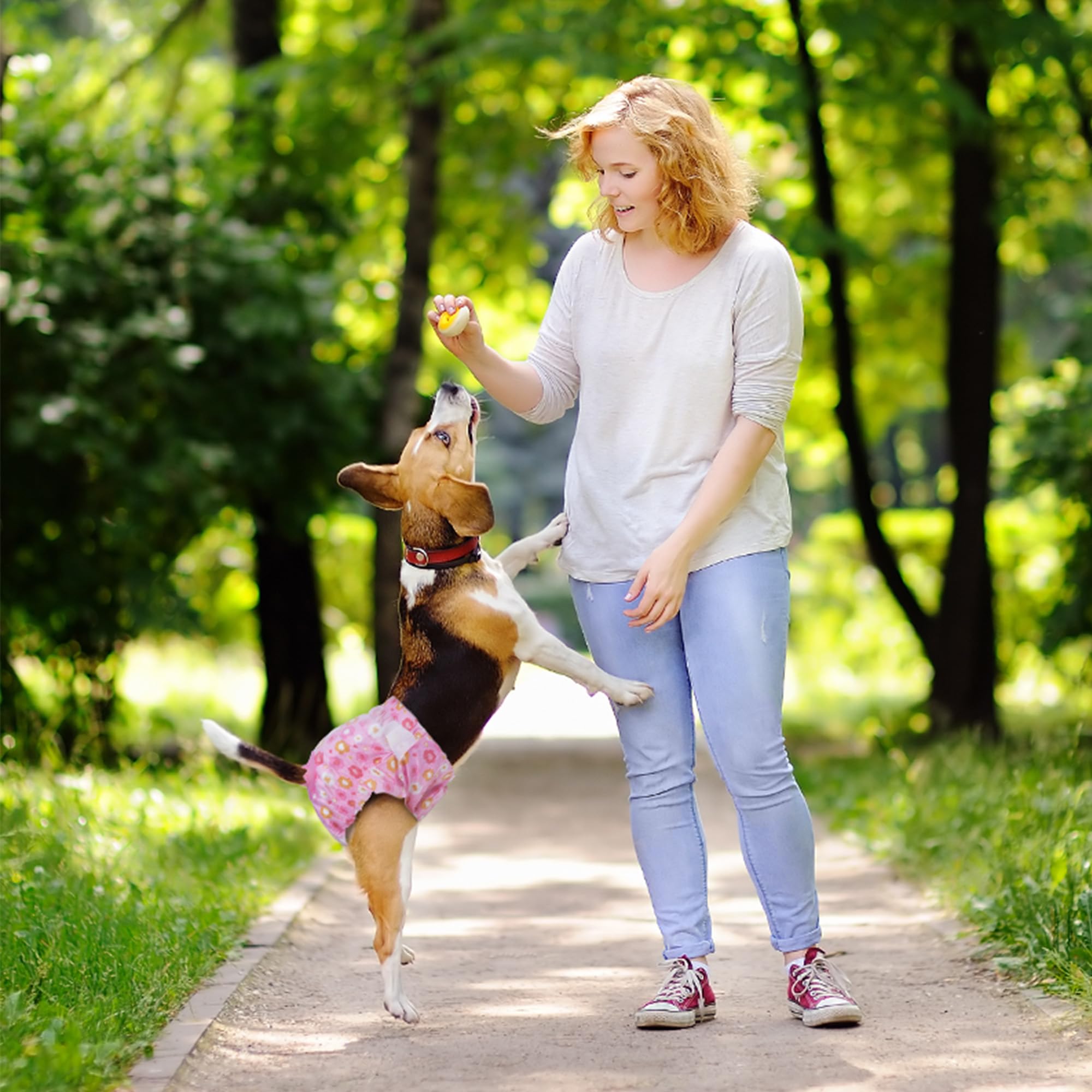 Pañales Pet Soft talla mediana para perros y gatos