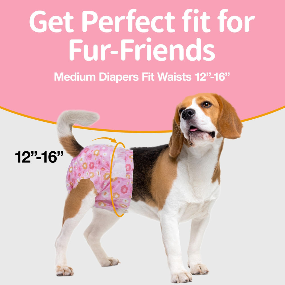 Pañales Pet Soft con tiras de seguridad para pelaje limpio