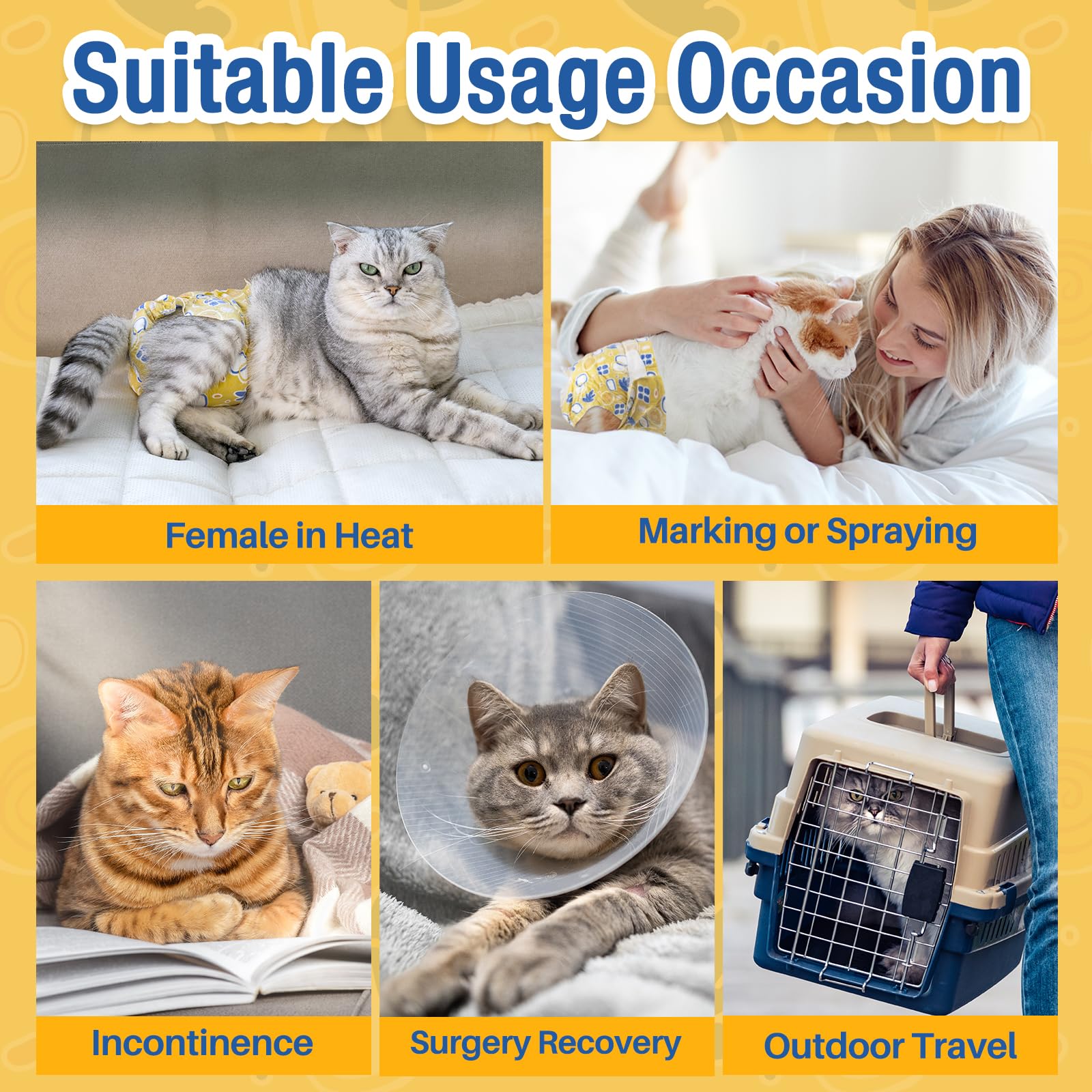 Pet Soft uso diario o viaje, protección discreta para incontinencia.
