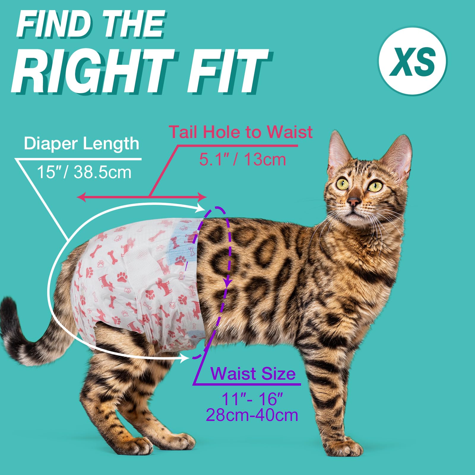 Ajuste cómodo en talla XS para gatos pequeños