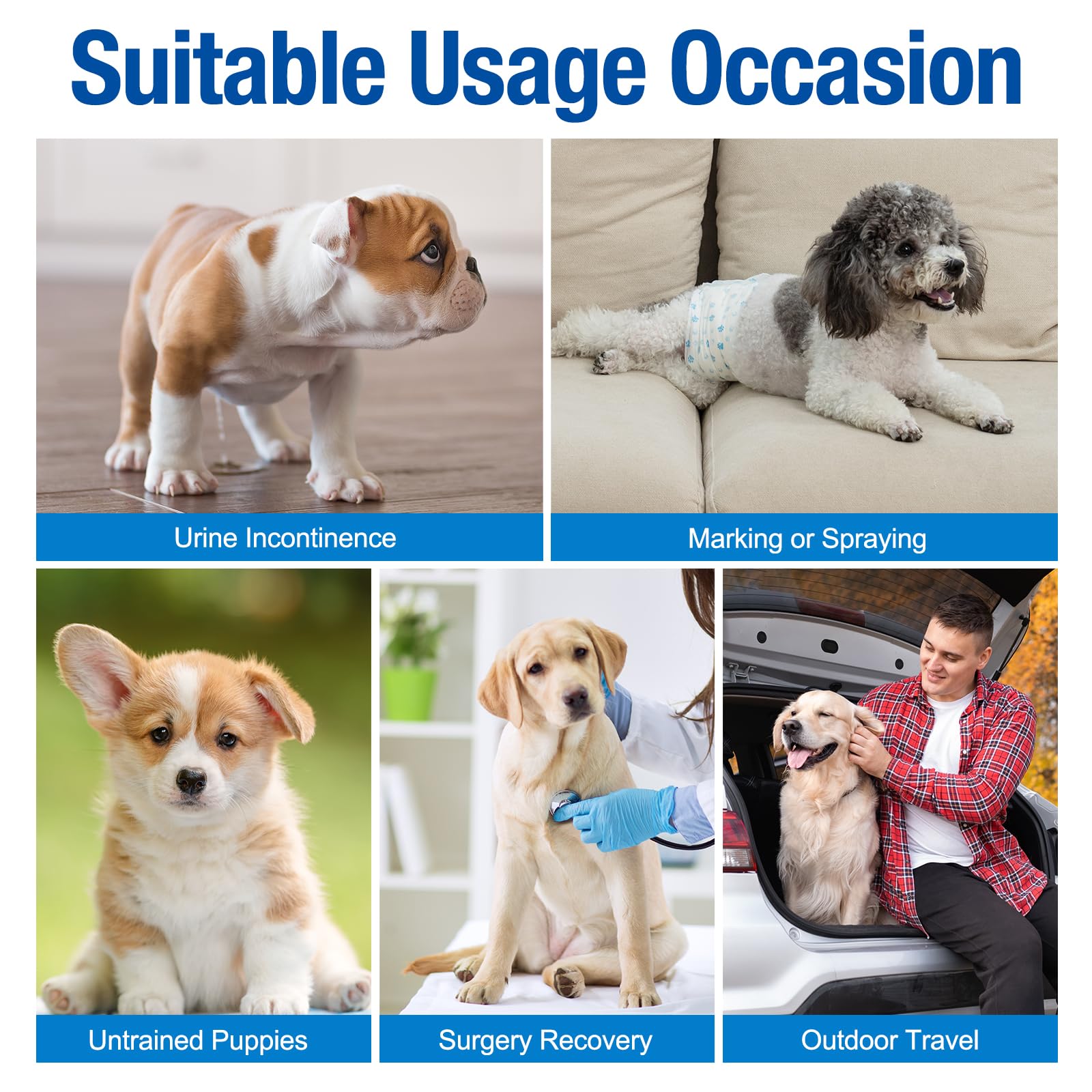 Pañales Pet Soft Machos, núcleo absorbente para protección rápida